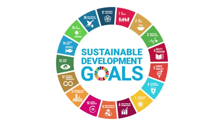 Sustainable Development Goals 2024